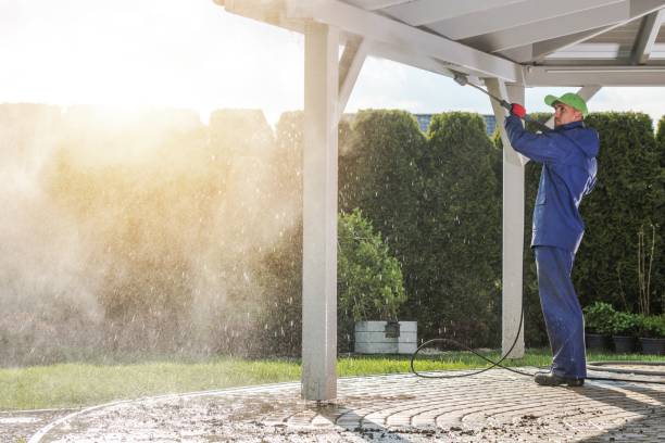 Best Building Exterior Washing  in Homestead, FL